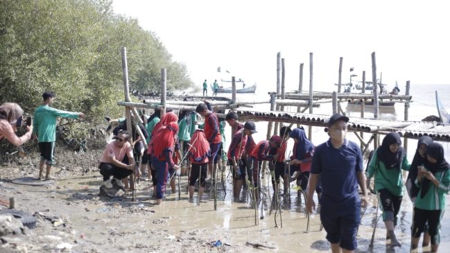 Mageri Segoro, Mangrove Jawa Tengah untuk Pantai Pati
