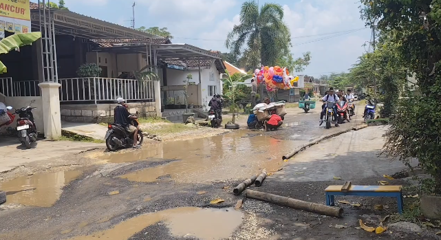 Aksi Pisang Tandai Jalan Rusak Kayen