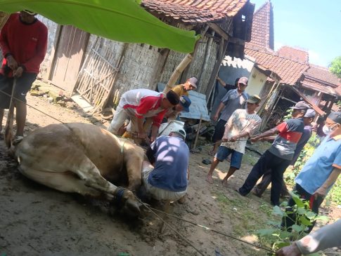 Harmoni Syariat dan Kepedulian Sosial di Tawangrejo